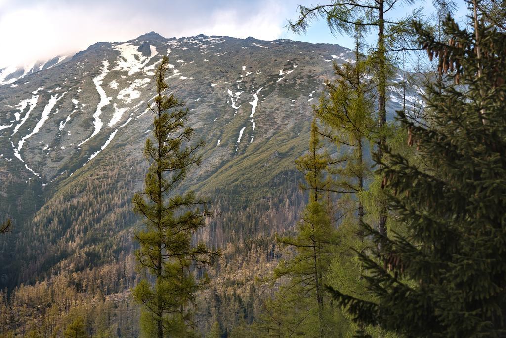Vysoké Tatry Grand Apartments Hrebienok מראה חיצוני תמונה